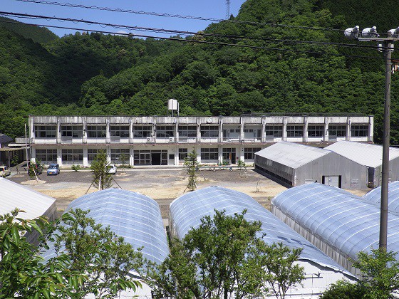 株式会社 龍神マッシュ
